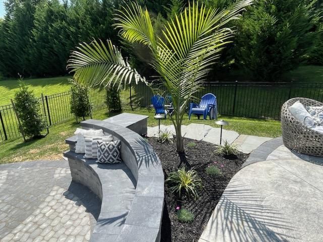 A patio with a curved bench and a palm tree