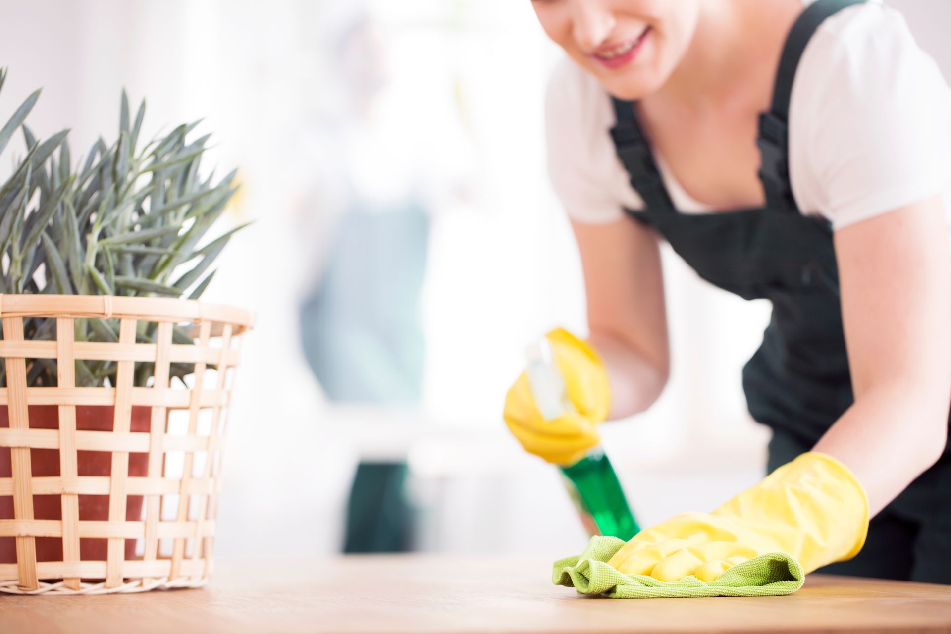 Professional House Cleaning Services Mississauga Sunrise Cleaning