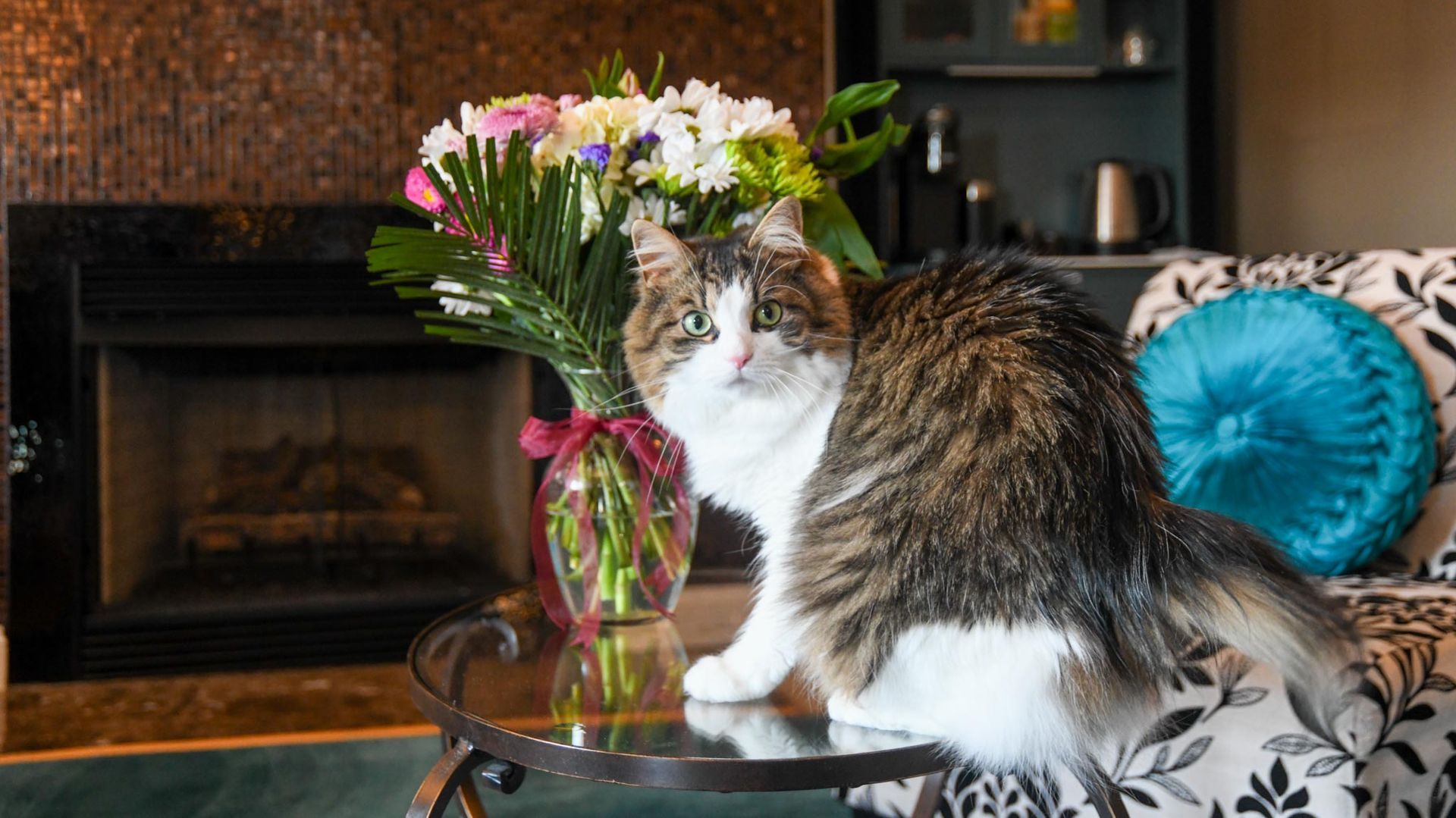 Inside location photo