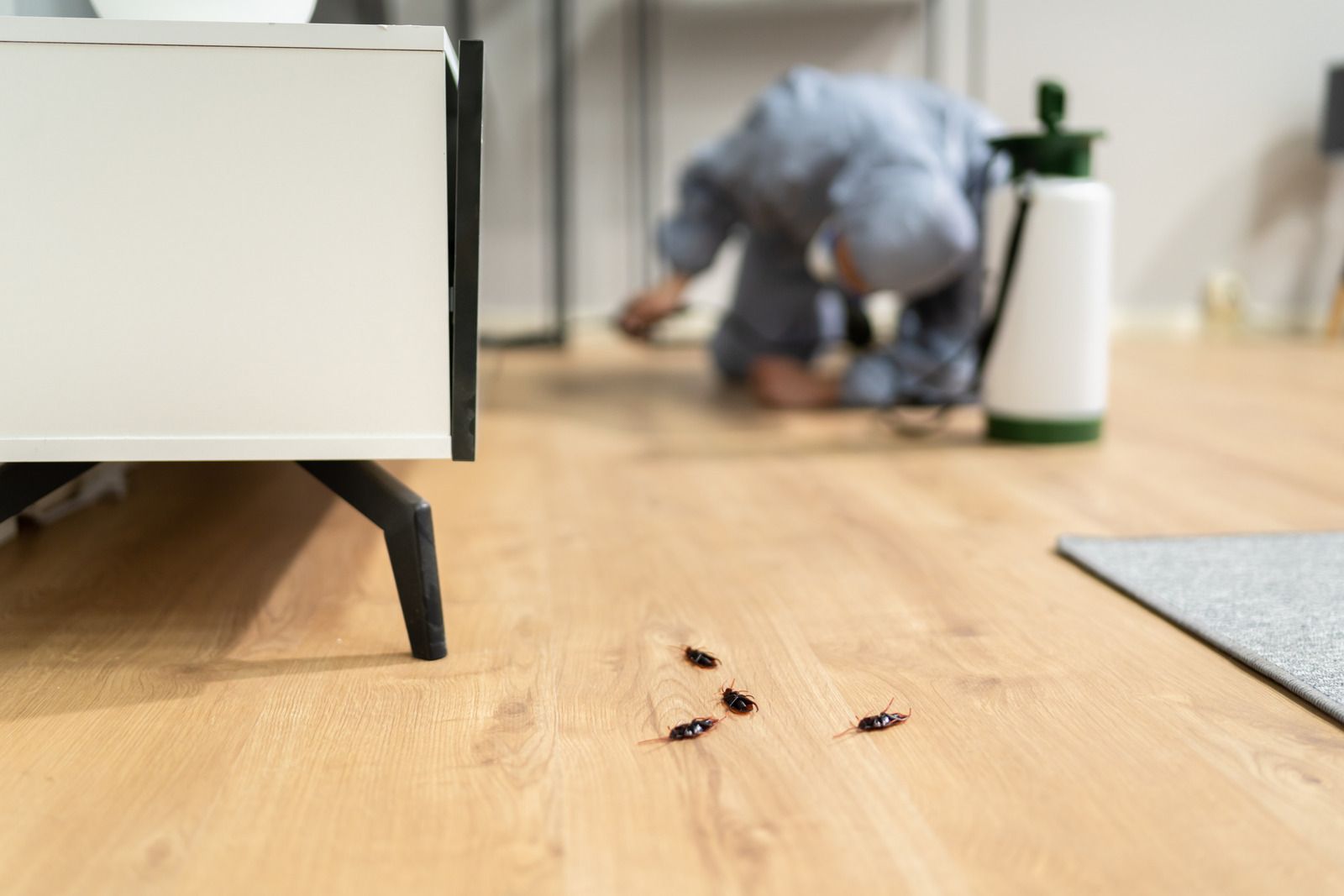 A man is crawling on the floor looking for cockroaches.