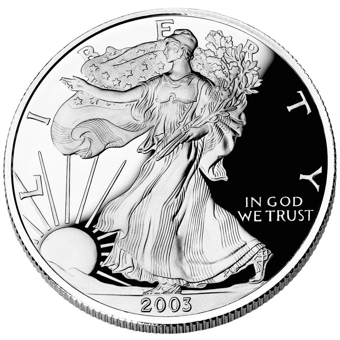 2003 American Silver Eagle Obverse US MINT IMAGE