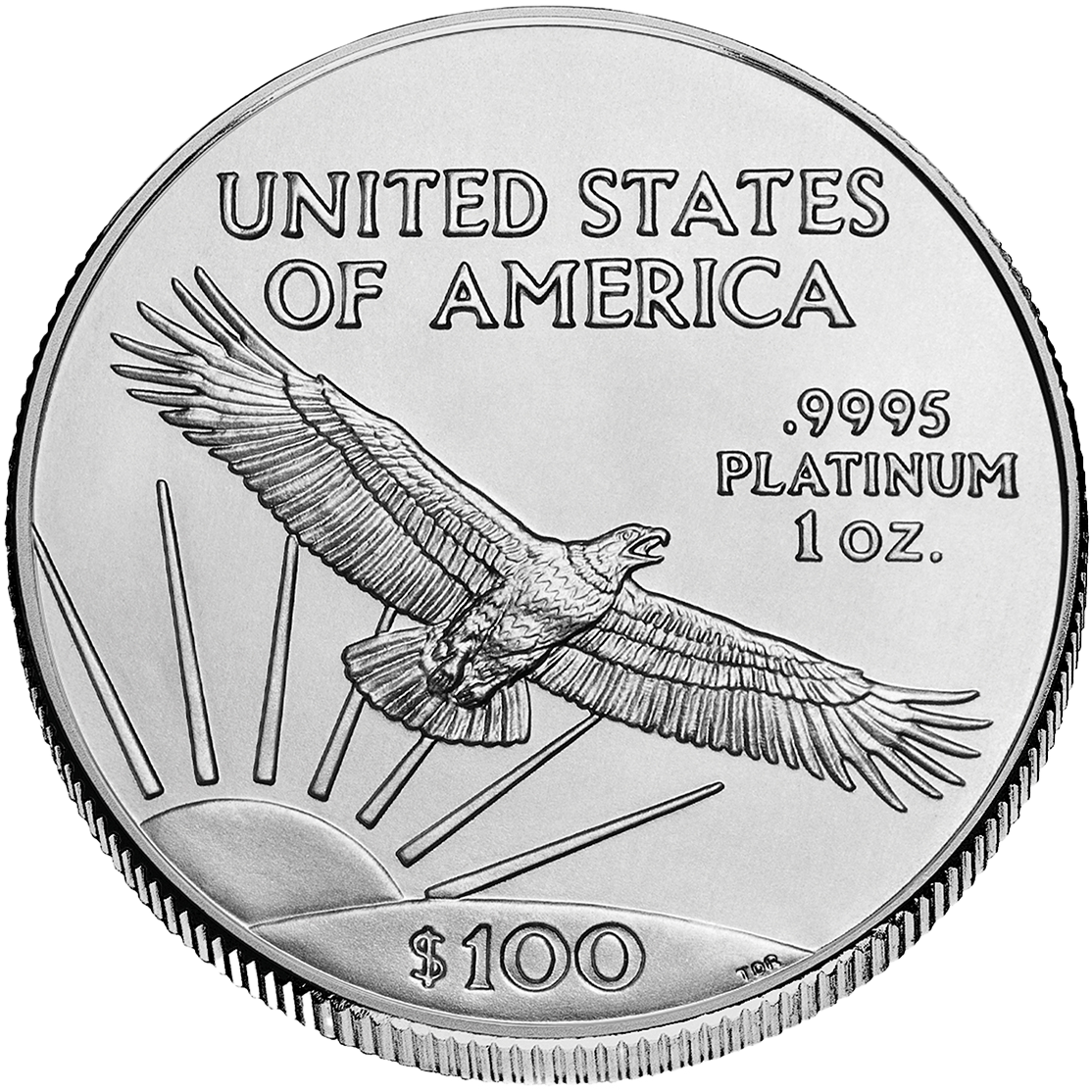 American Platinum Eagle Coin United States Mint Image