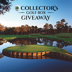 Sawgrass; Ponte Vedra Beach, FL; 17th hole