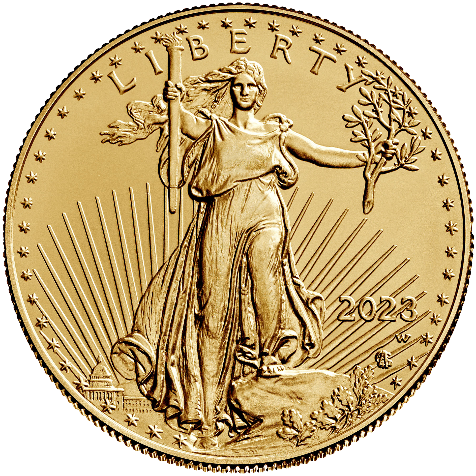 American Gold Eagle Coin United States Mint Image