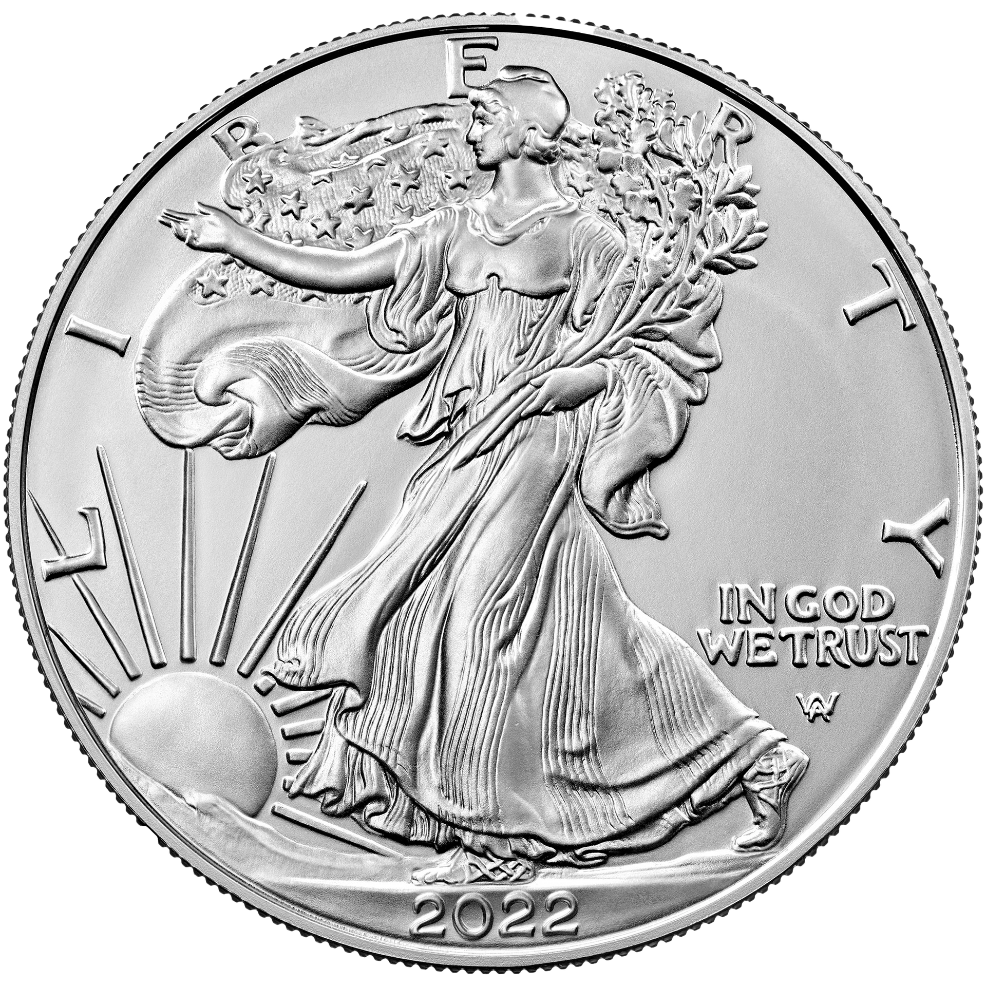 American Silver Eagle Coin United States Mint Image