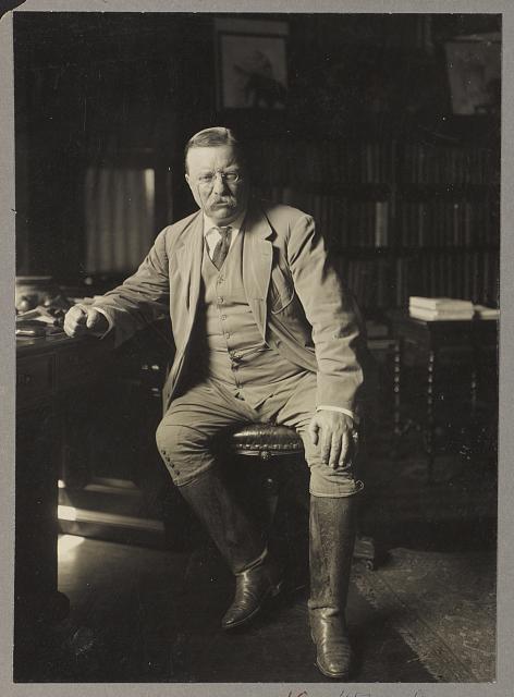 Theodore Roosevelt in his library at Oyster Bay