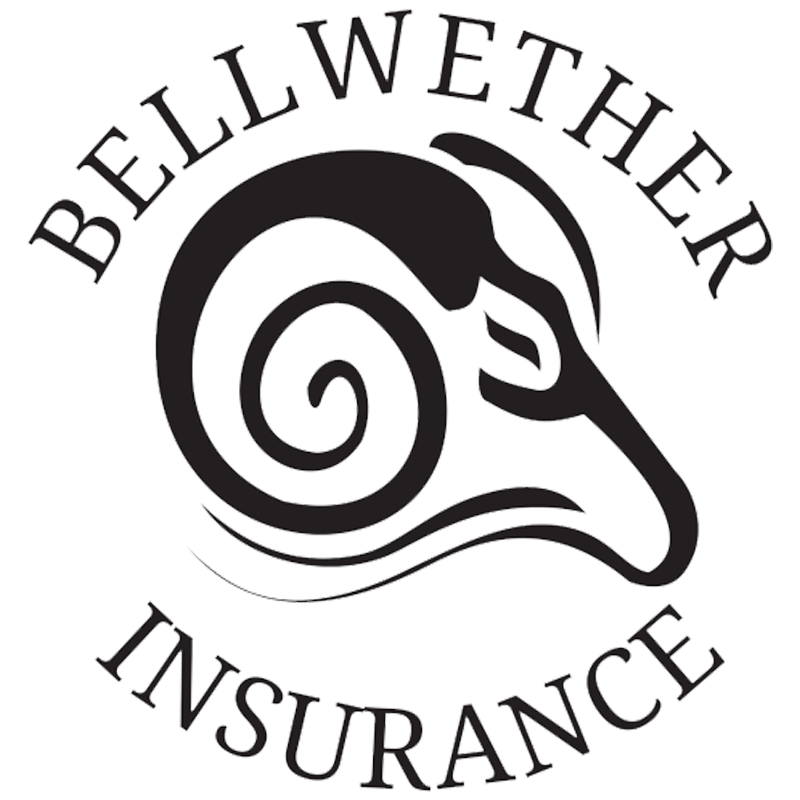 Bellwether Insurance Logo