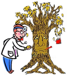 Doctor examining a sick tree with a bandaged face and a sad expression; leaves are falling.