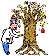 Doctor examining a sick tree with a bandaged face and a sad expression; leaves are falling.