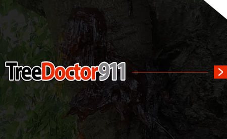 Overhead view of a dark gray roof, with a green and yellow logo featuring a stylized house and the letter 