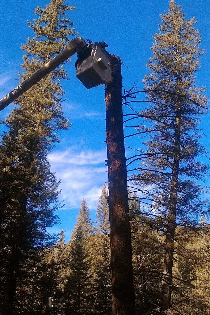 Damaged utility pole with broken arm and bucket against blue sky and pine trees