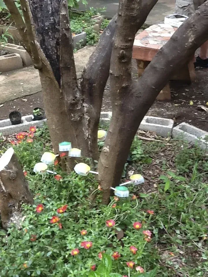 Tree trunks in a flower bed with small red and white blossoms and garden lights.
