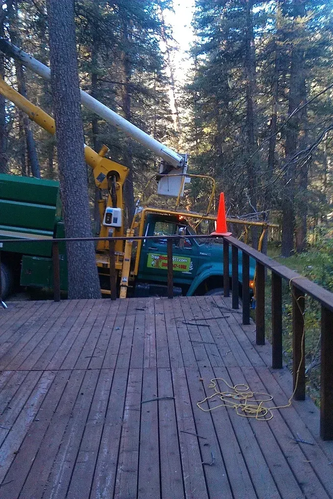 Blue truck and yellow crane parked beside a wooden deck in a wooded area.