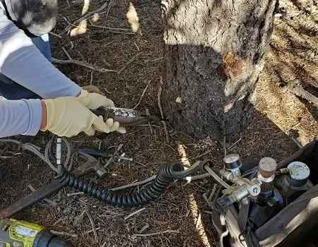 Gloved hands using a tool on a hose near a tree trunk and pump equipment outdoors