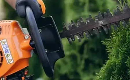 Close-up of a gloved hand using an orange gas-powered hedge trimmer to prune a green bush.