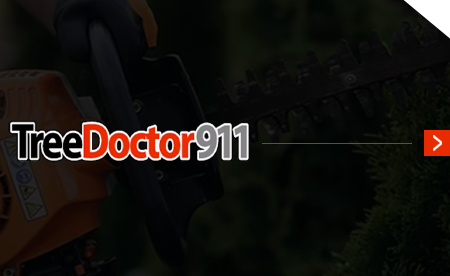 Logo of a roof with a green 