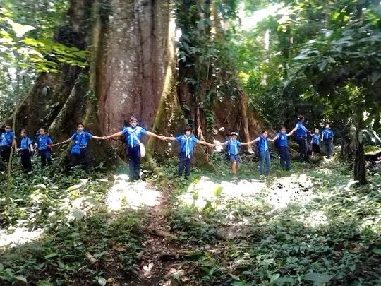 People in blue shirts holding hands in a forest around a huge tree trunk