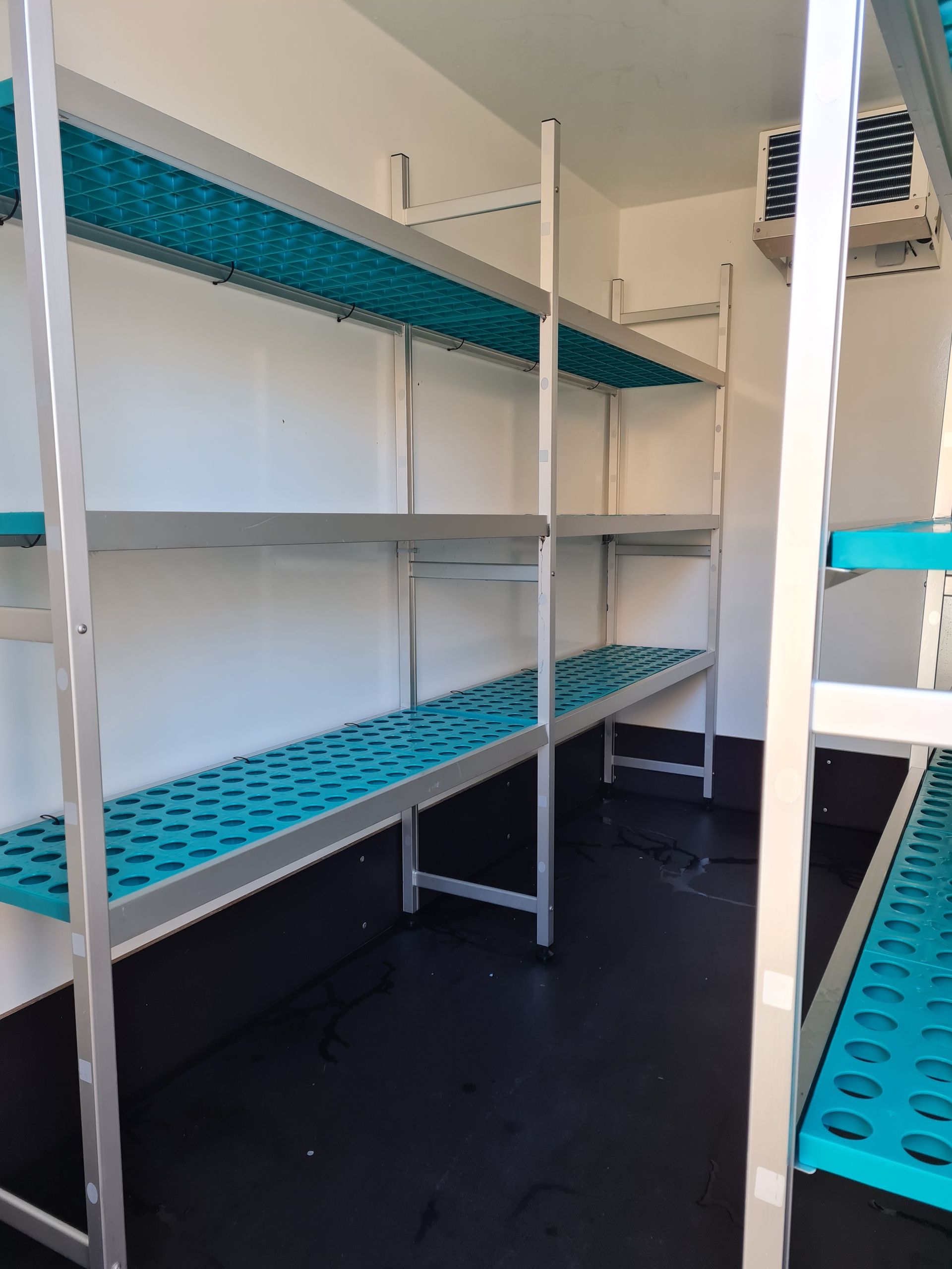 A room with blue shelves and a white wall