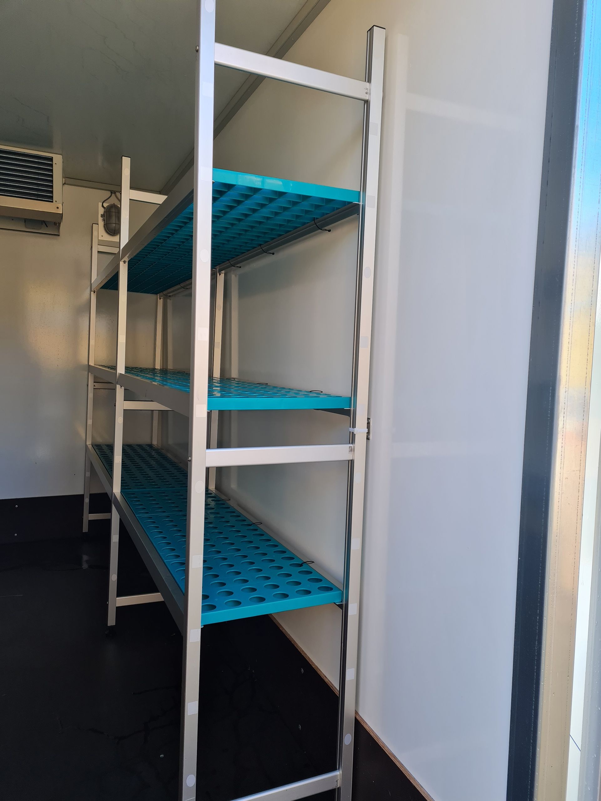 A room with blue shelves and a white wall