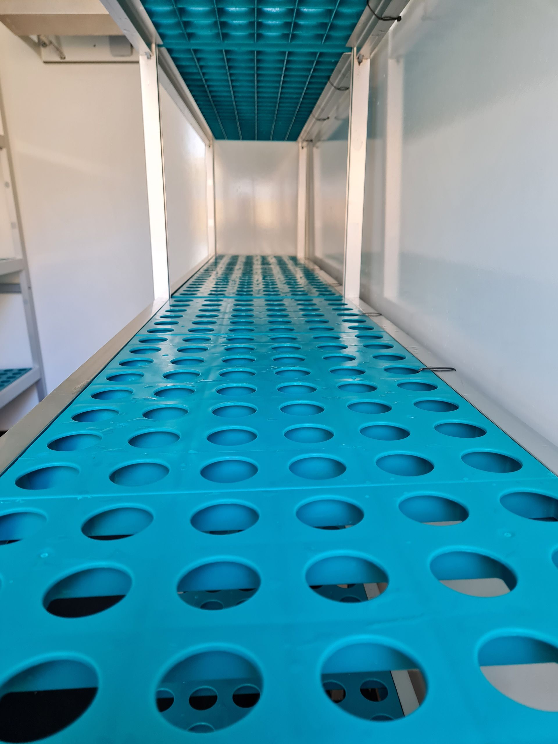 A blue shelf with holes in it in a room