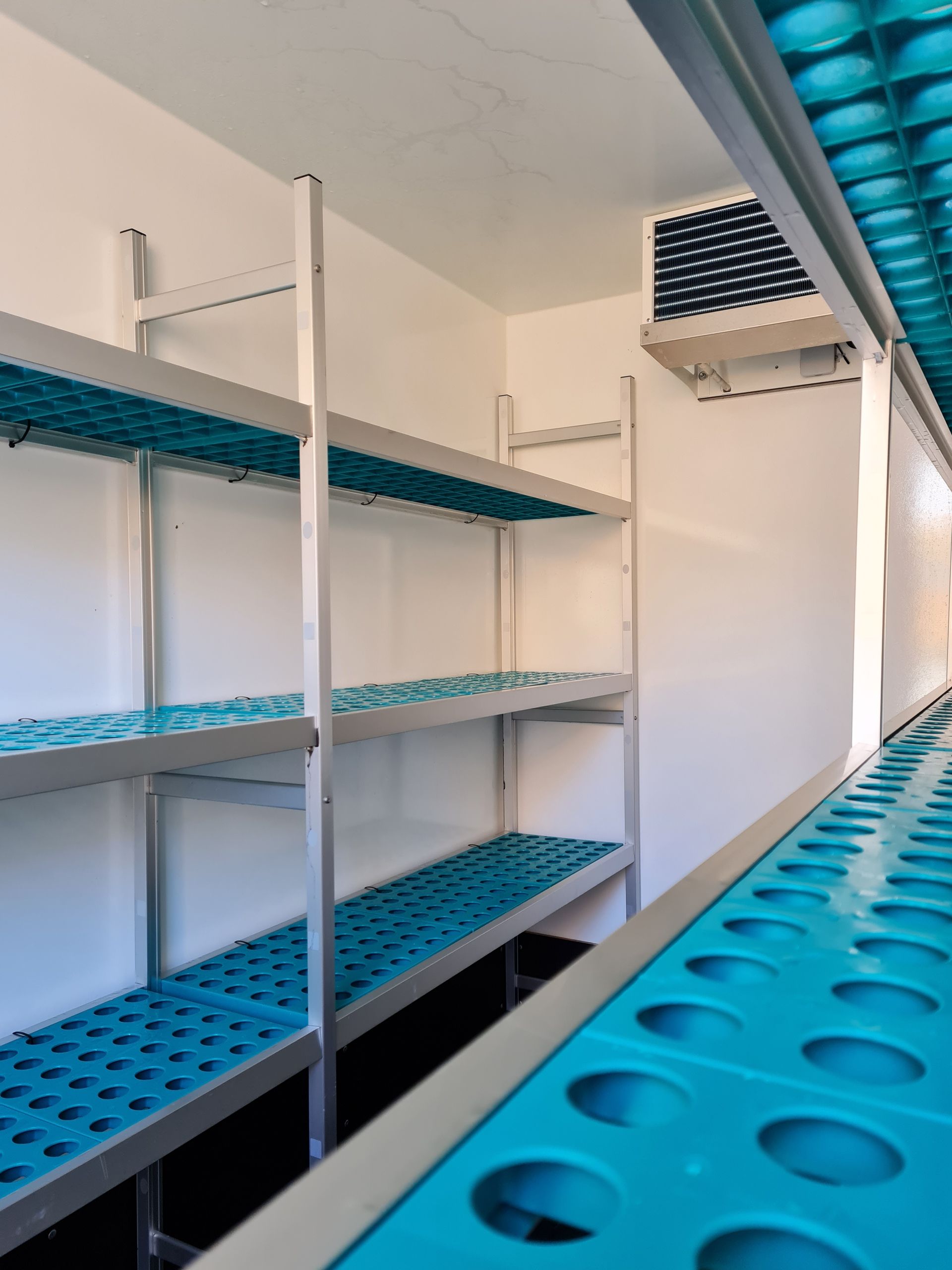 A room with blue shelves and a white wall
