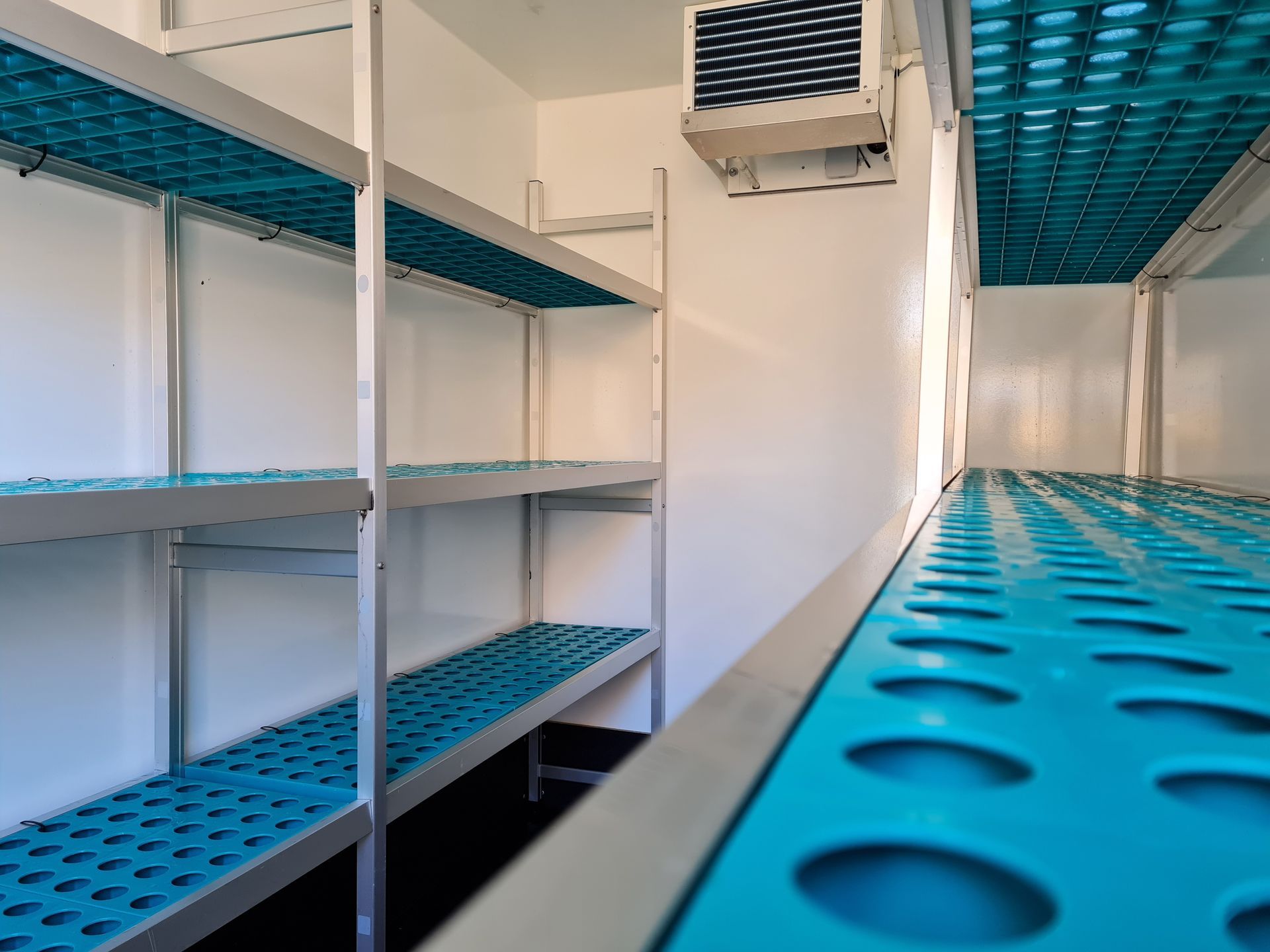 A room with blue shelves and a white wall