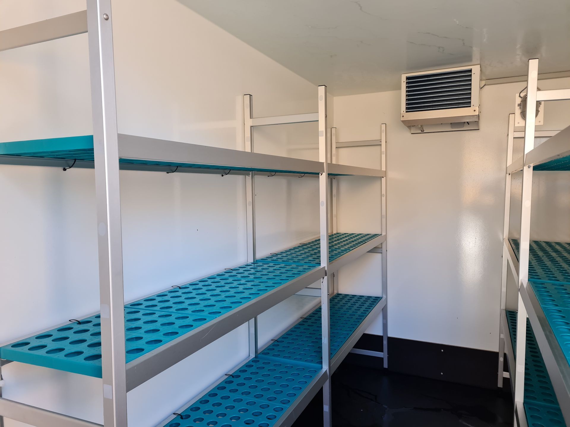 A room with blue shelves and a white wall
