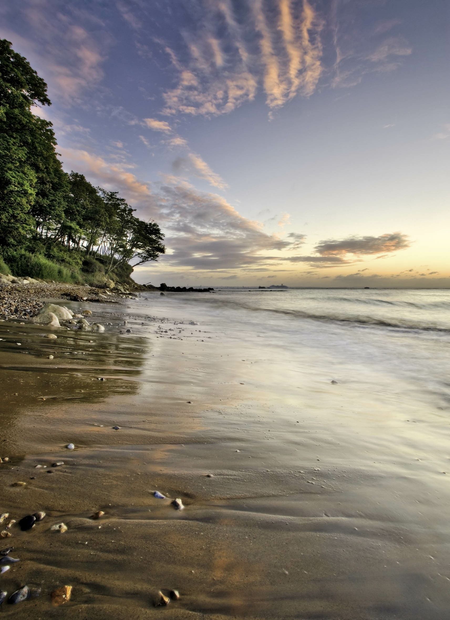 A beach at sunset with trees in the background
