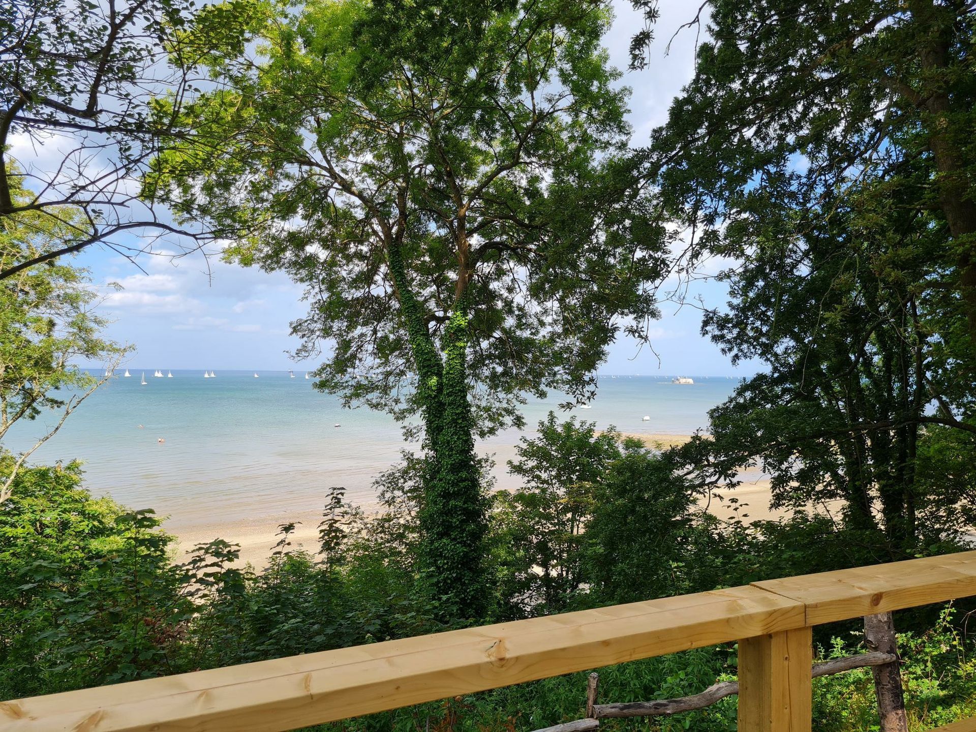 A view of the ocean from a wooden deck surrounded by trees.