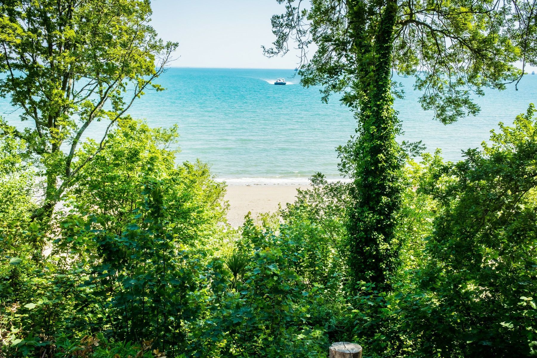 A view of the ocean through the trees with a boat in the distance.
