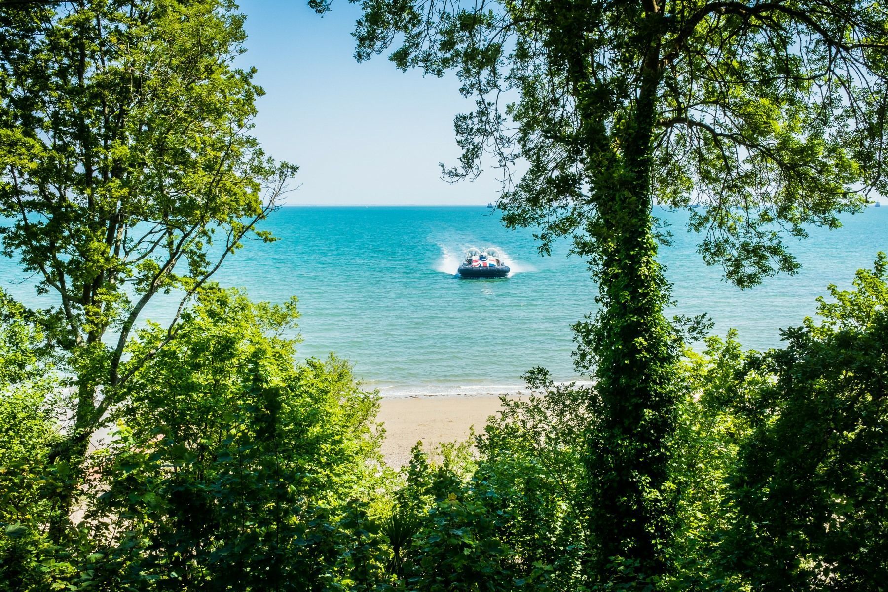 A boat is in the ocean surrounded by trees