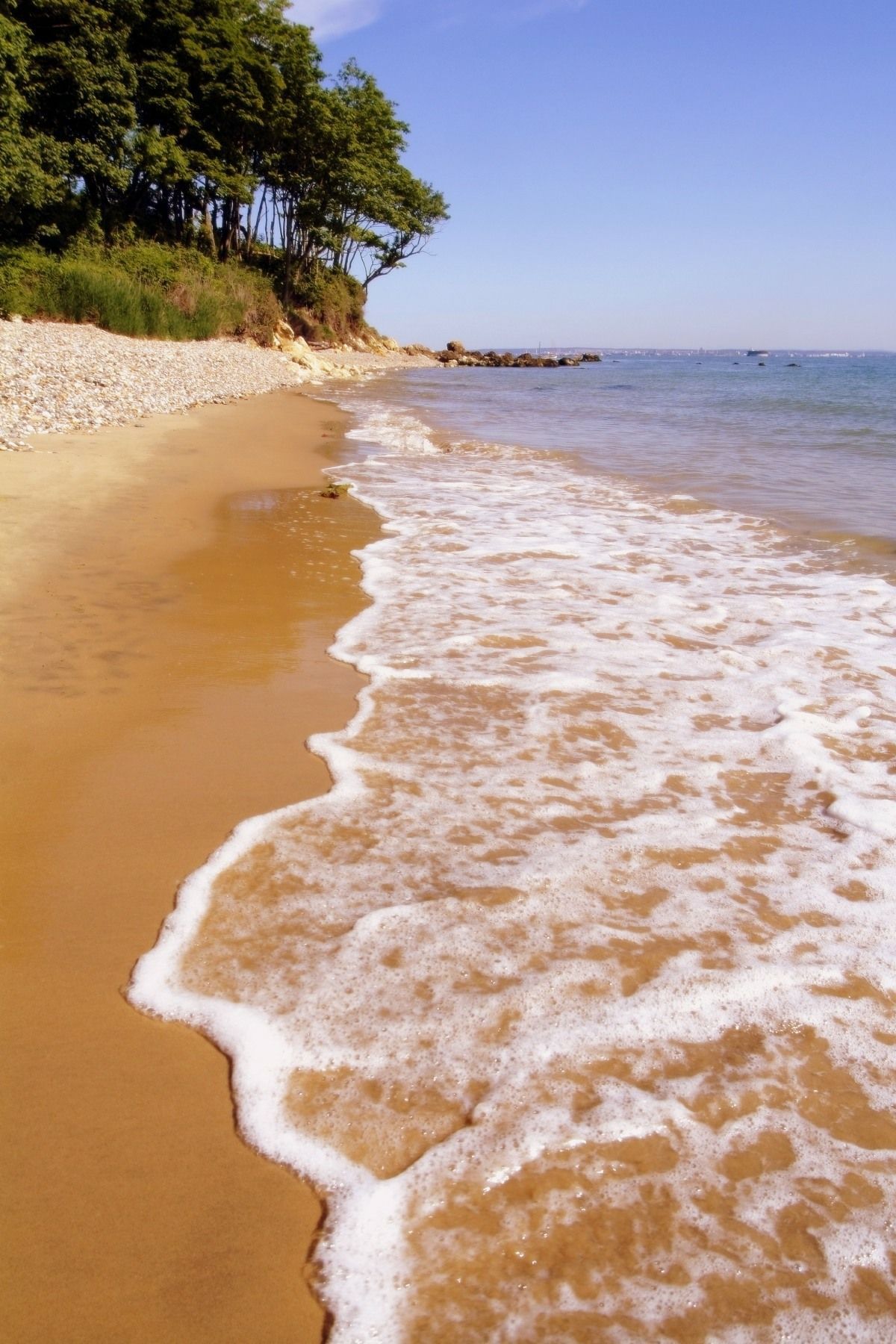 A beach with waves crashing on the sand and trees in the background