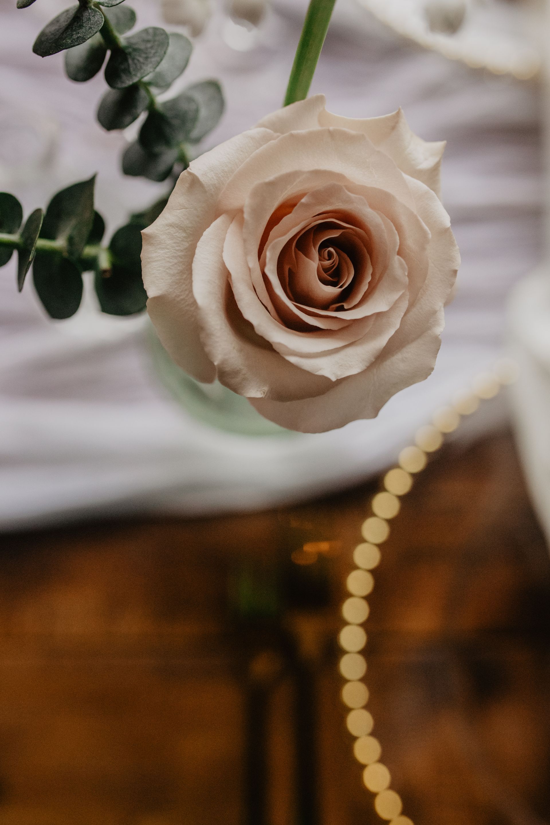 A close up of a single rose in a vase on a table.
