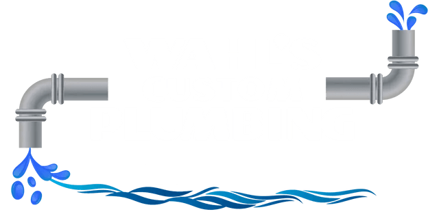 wahls custom plumbing logo
