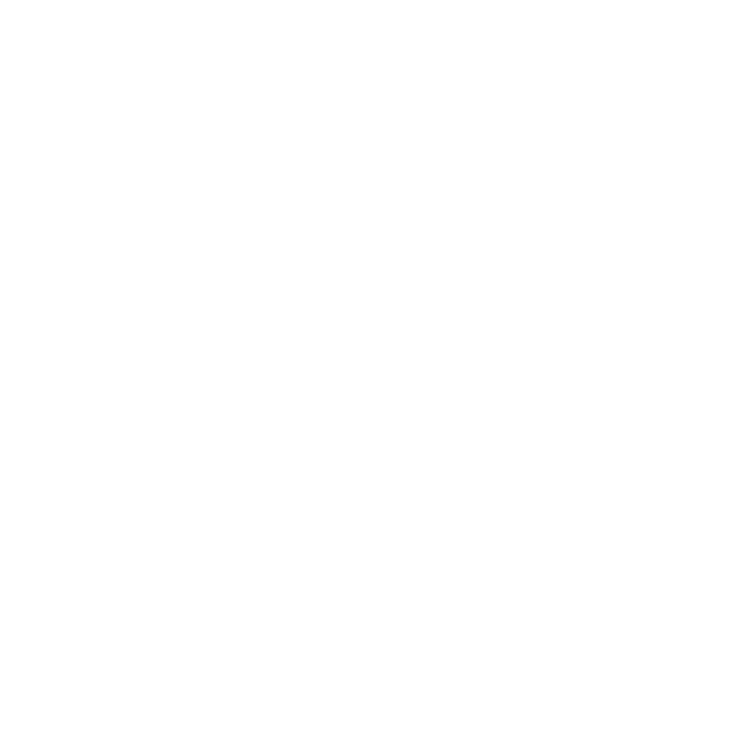 Alpha Detail LLC