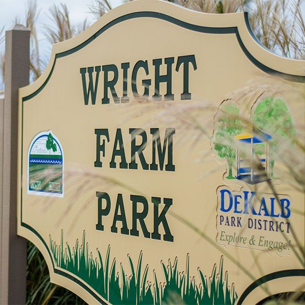 Dorothy Thiele Wright