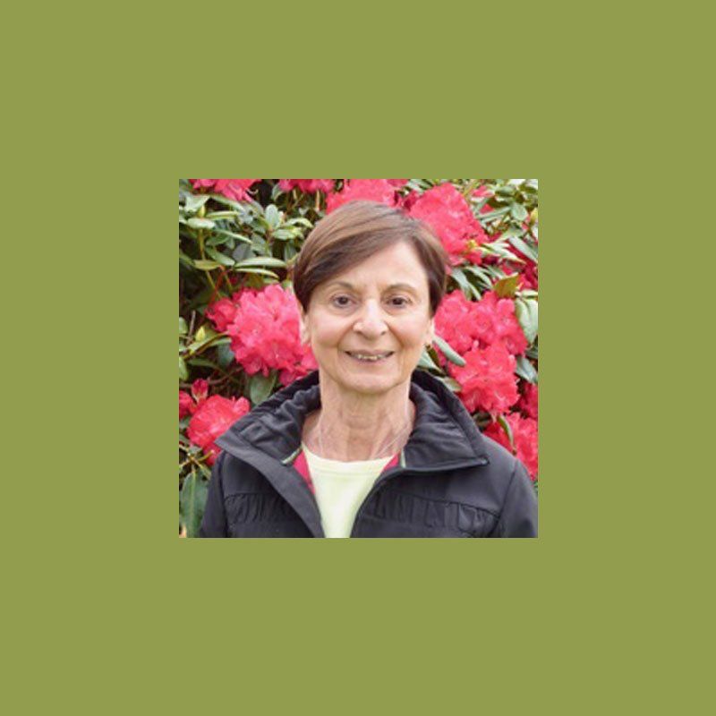 Elegie (DiFilippo) LoCascio