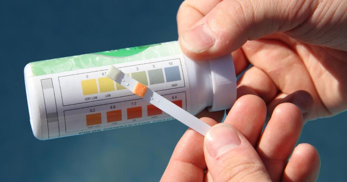 A person is holding a test strip in their hand.