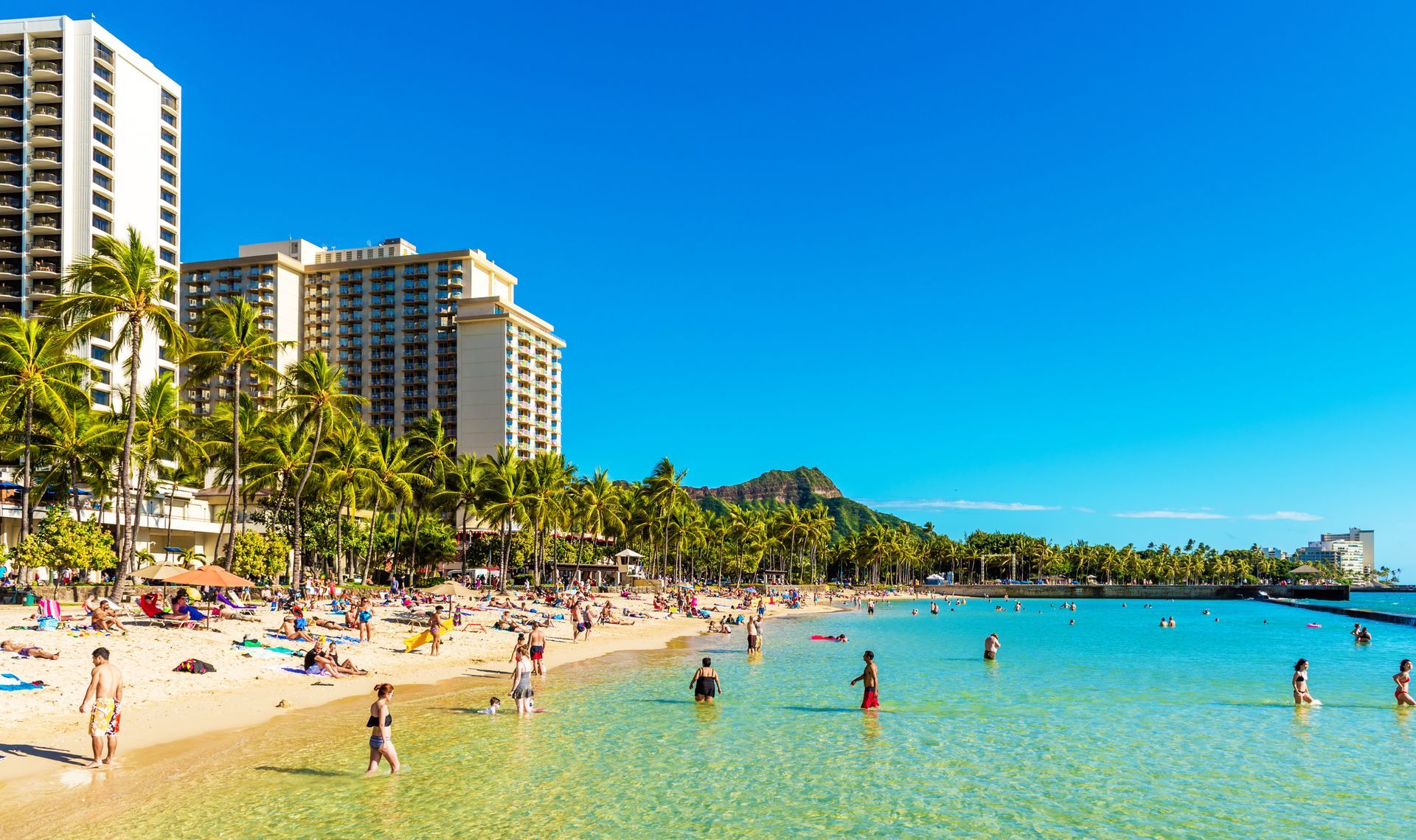 A group of people are swimming in the ocean on a beach in Wakikie Hawaii. Vacation Travel Exclusives