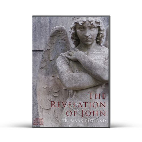 Book cover: Angel statue with wings, title 