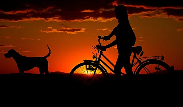 A woman is riding a bike next to a dog at sunset.