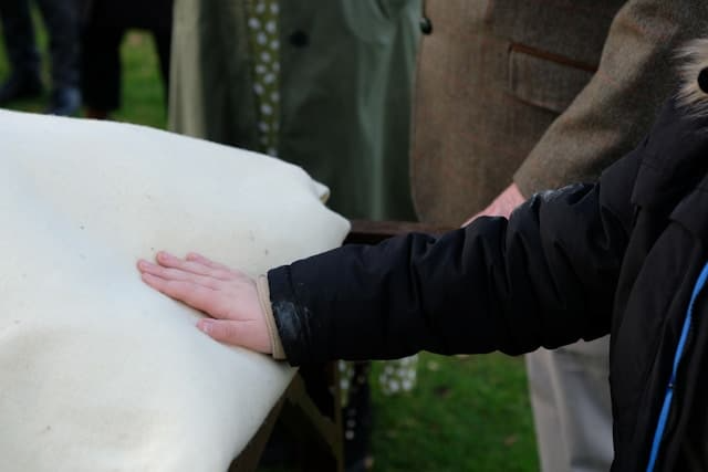 A person is touching a piece of paper with their hand
