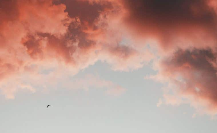 Ways To Make Funeral Services At Rochester, NY Funeral Homes More Special
