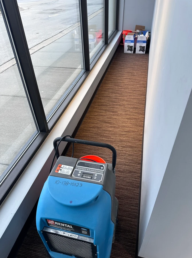 A blue commercial dehumidifier sits on a carpeted floor next to a glass window, with supplies stored in the background.