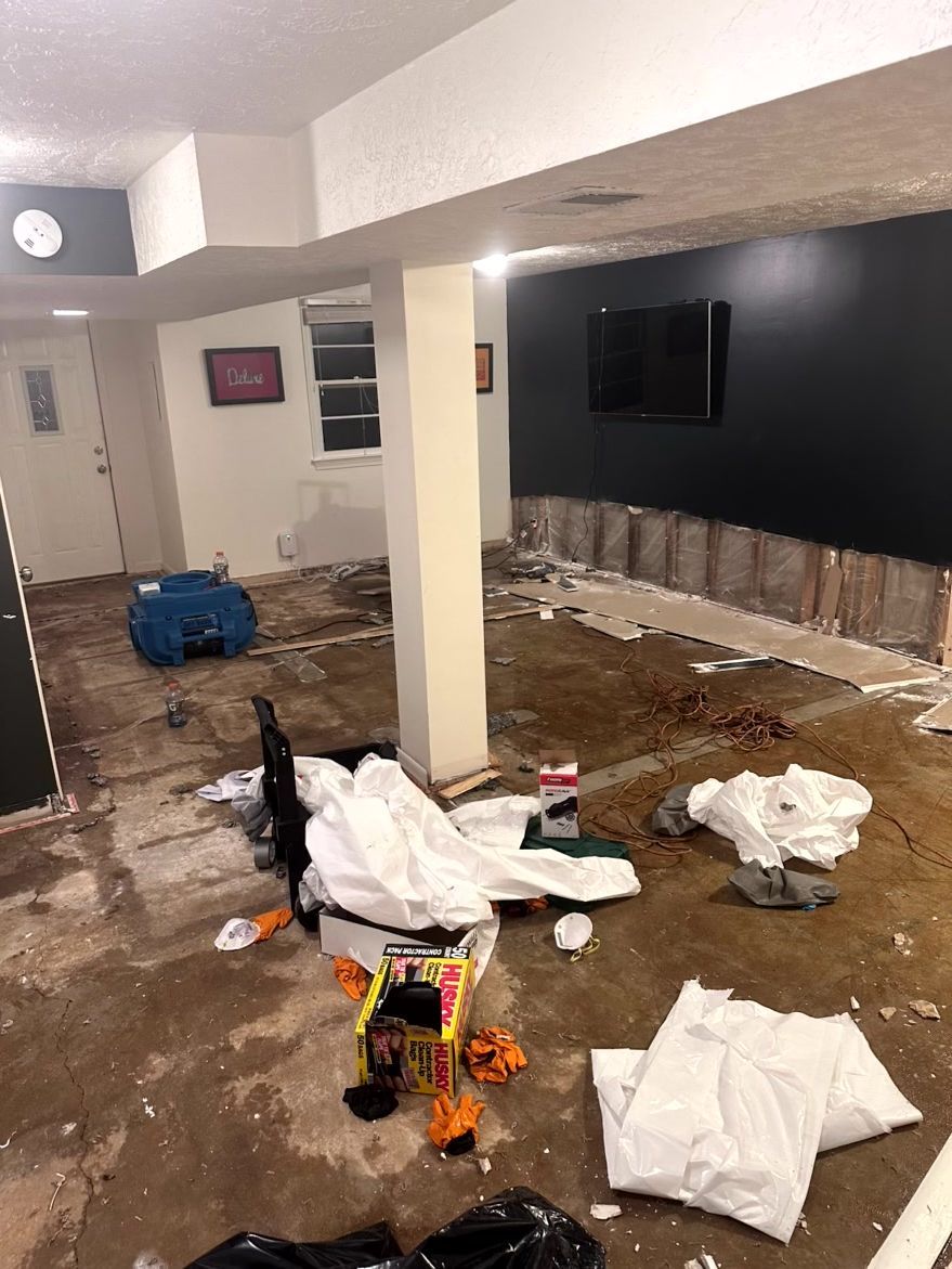 A basement undergoing renovation with a black accent wall, exposed wall framing, concrete flooring, and debris.