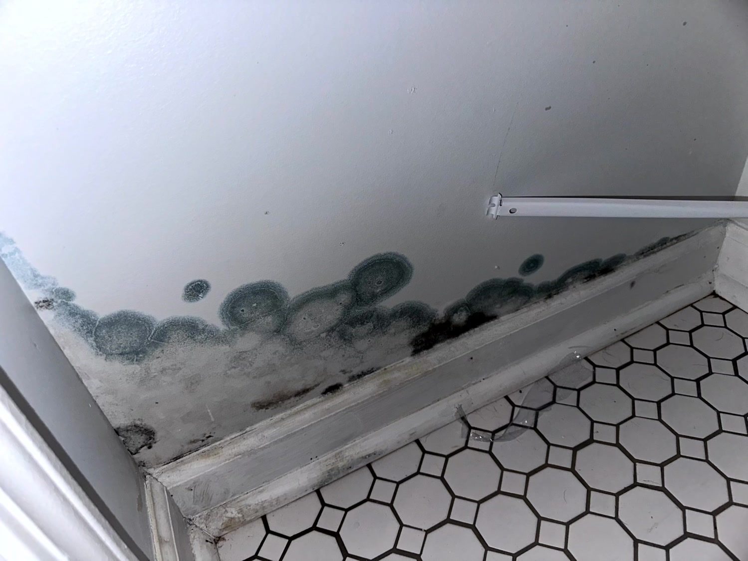 Dark, spreading mold growth on a white bathroom wall above tiled flooring and baseboards.