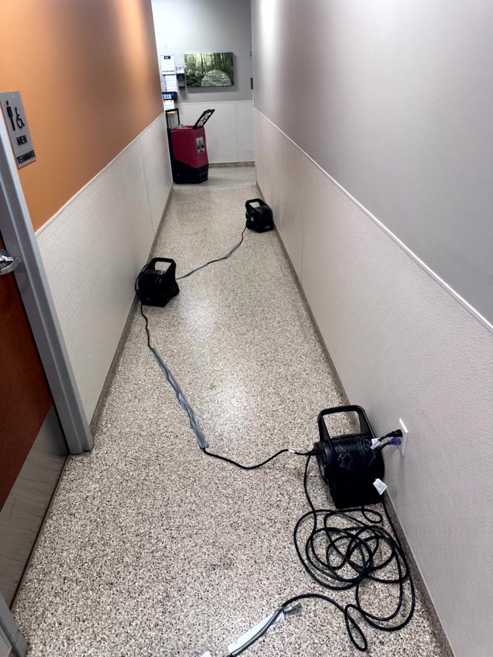 Three industrial fans are lined up in a hallway, connected by cords plugged into a wall outlet.