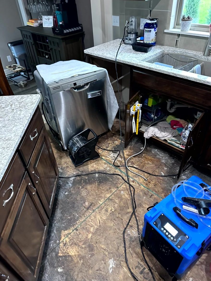 A stainless steel dishwasher sits in a kitchen with exposed subflooring and a blue industrial dehumidifier nearby.