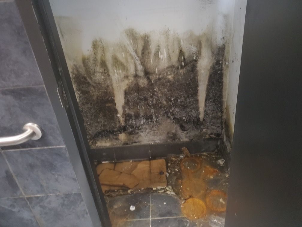 A restroom corner showing severe black mold growth on the walls, with debris and water on the floor.