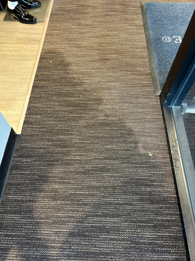 An indoor walkway featuring a dark, textured carpet strip bordered by light wood flooring and a door frame.